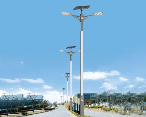 1742827475242030.jpg 左贡太阳能路灯.jpg