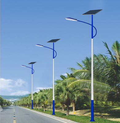 1742828246142723.jpg 左贡太阳能路灯.jpg
